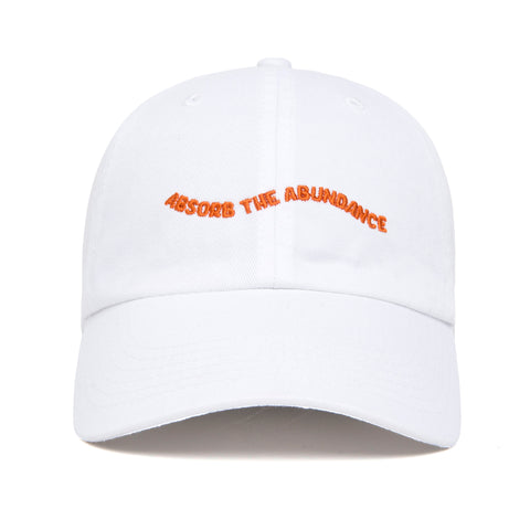 Absorb Abundance Hat